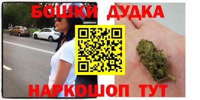 apvp Новодвинск