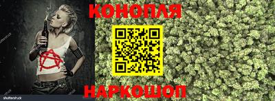 apvp Новодвинск