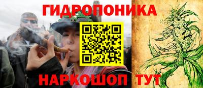 apvp Новодвинск