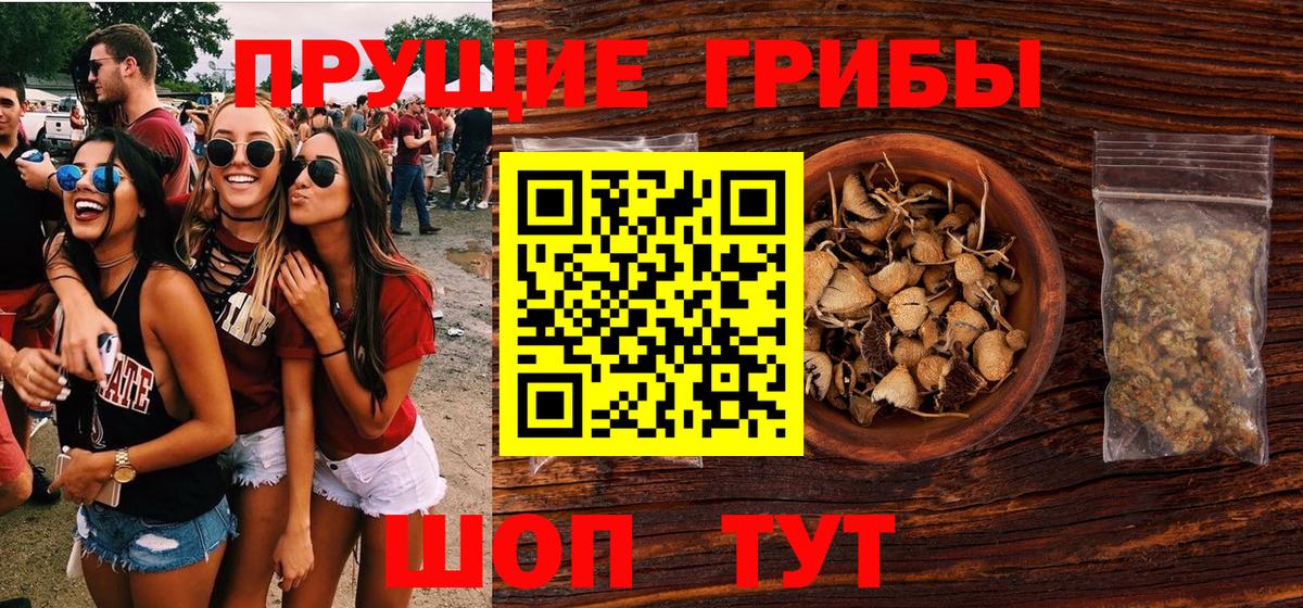 Галлюциногенные грибы Psilocybe  Вход с VPN  Октябрьский  Галлюциногенные грибы Cubensis 